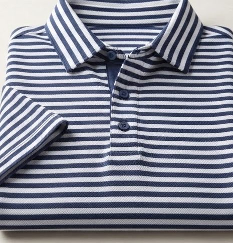 Striped Polo — alternate view
